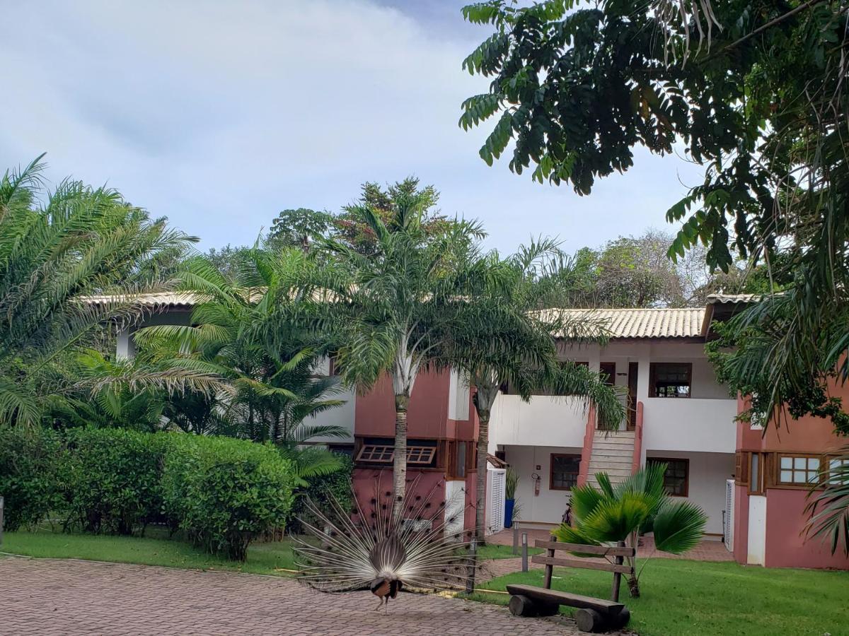 Apto Incrivel Em Condominio Lindo Praia do Forte Exteriör bild